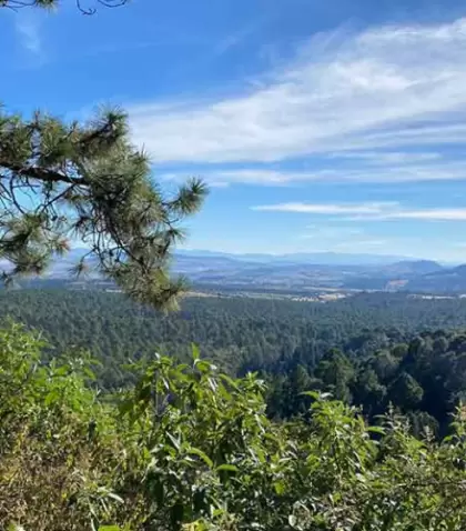 Nanacamilpa es conocido por sus bosques y el espect�culo natural de las luci�rnagas, una experiencia �nica en M�xico.