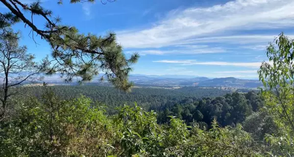 Nanacamilpa es conocido por sus bosques y el espect�culo natural de las luci�rnagas, una experiencia �nica en M�xico.