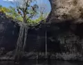Los cenotes de Hom�n ofrecen aguas cristalinas y escenarios naturales �nicos, en uno de los circuitos m�s buscados de Yucat�n.