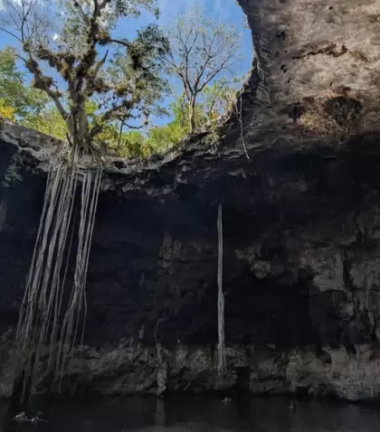 Los cenotes de Hom�n ofrecen aguas cristalinas y escenarios naturales �nicos, en uno de los circuitos m�s buscados de Yucat�n.