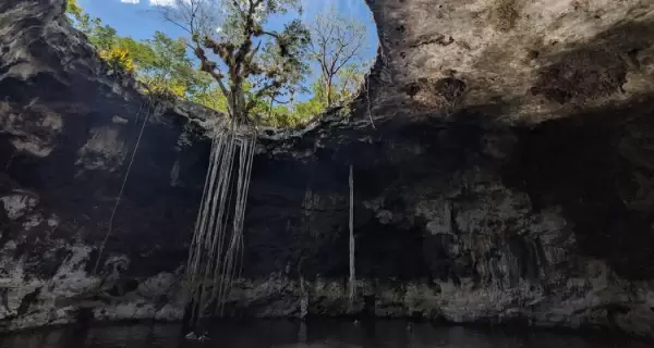 Los cenotes de Hom�n ofrecen aguas cristalinas y escenarios naturales �nicos, en uno de los circuitos m�s buscados de Yucat�n.