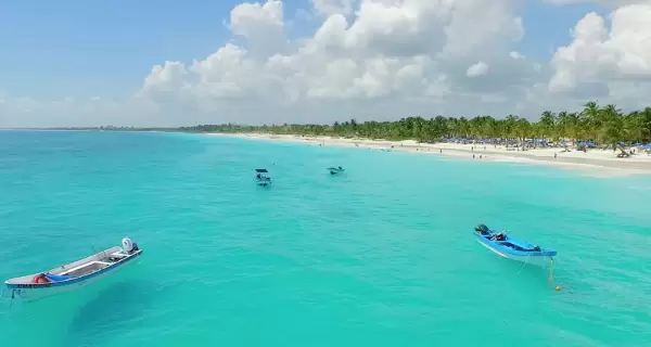 Las playas de Tulum combinan arena blanca, aguas turquesa y un entorno natural que mantiene intacta la esencia del Caribe mexicano.